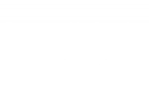 WOT Arabic Logo-WHITE-FINAL